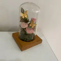 دکوری با پروانه طلا