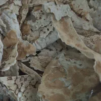 نون خشک