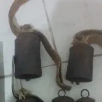 زنگوله