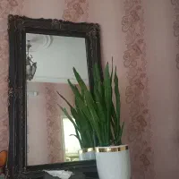 اینه قدی قاب چوبی