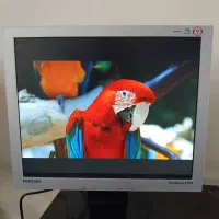 مانیتور ۱۷ اینچ  سامسونگ LED