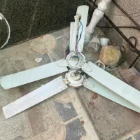 پنکه سقفی