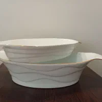 ظروف پذیرایی نو