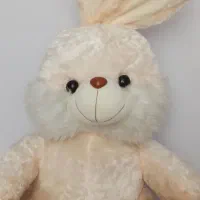 خرگوش نشسته بزرگ