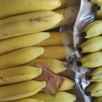 سفارش میوه بده و به راحتی تحویل بگیر