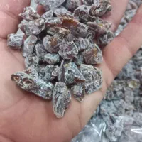 فروش،چیپس خرما