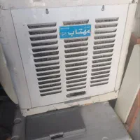 کولرابی