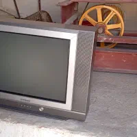 تلویزیون