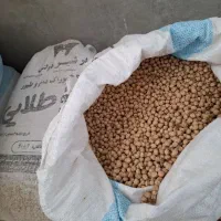 نخود‌‌کرمانشاه