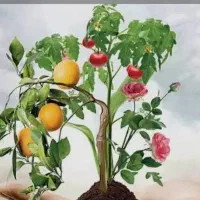 کارشناس باغ و باغبانی و گیاهان آپارتمانی