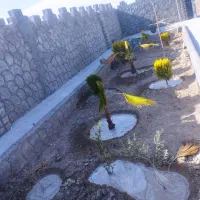 باغ-500متری-زیار