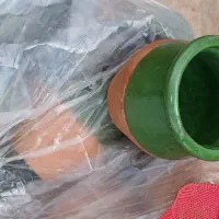 دیزی سفالی