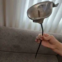 گل شیپوری آلومینیوم هندی