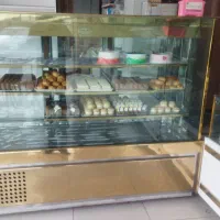 یخچال فریزر آکواریومی