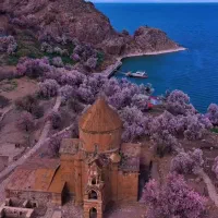 تور اتوبوسی و شاد وان