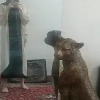 فوری
