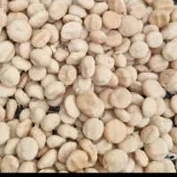 کشک گوسفندی سرشار از کلسیم منی ۲میلیون