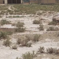 یک قطعه زمین مسکونی در صوفی اباد