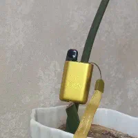 پاد دائمی
