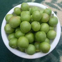 ۶ کیلو آلوچه آبدار