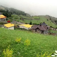 ۱۹۰متر کلاردشت شهرکی با دید جنگل و راه دسترسی