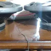 باند پایونیر