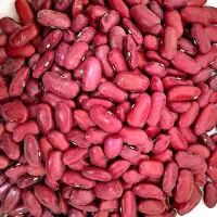 فروشگاه بذر سبزیجات و حبوبات