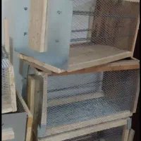تله روباه