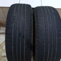 لاستیک ساینا و کوییک