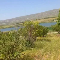 زمین-باغی-جاده-سجافی-جفت-مسکن-ملی
