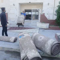 قالیشویی تمام اتوماتیک جنوب