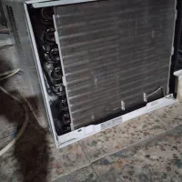 کولر پنجرای الجی زیر خاکی