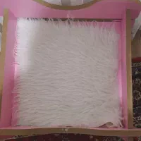 تخت خواب پت|لوازم جانبی حیوانات|رشت, چمارسرا|دیوار