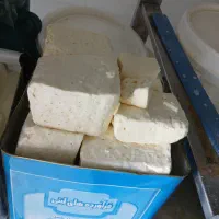 پنیر تبریزو گرون نخر
