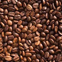 فروش عمده و خرده قهوه فله میکس و تک‌دان