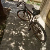دوچرخه ۱۶   و دوچرخه ۲۶