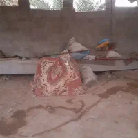 قایق عصب