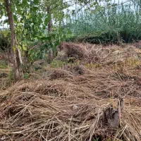 تمیز کردن زمین با دستگاه علف تراش