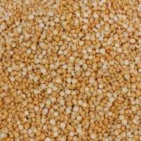 فروش حبوبات بصورت عمده