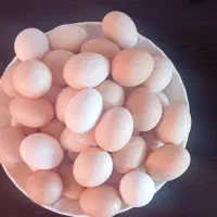 تخم مرغ محلی