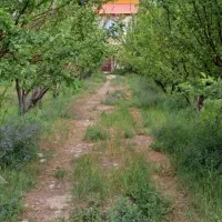 فروش زمین ۸۰۰۰ متری در فیروزکوه