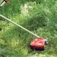علف زنی باغها وزعفران کود گوسفندی پابیل