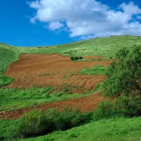 زمین-کشاورزی