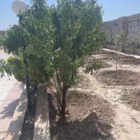 فروش انواع قطعات باغی و سوله و مسکونی