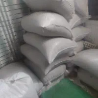 شلتوک بزری