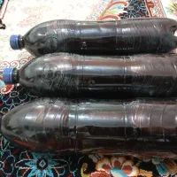 رب انار ملس