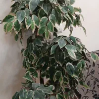 درختچه مصنوعی با گلدان