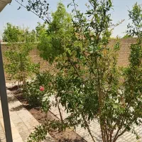 شهر جدید امیرکبیر شیروانی ابتدای شهر