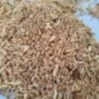 خورده گندم نیم دانه خوراک دام طیور