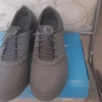 کفش اسپورت